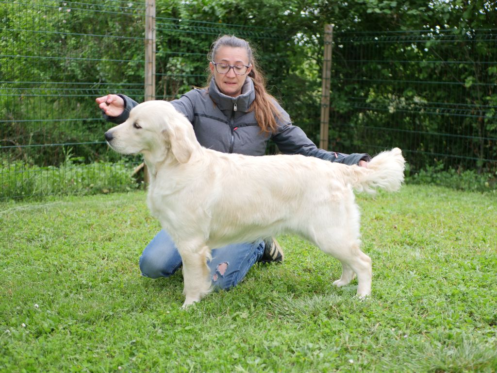 Uluberlu cette lolite de la rivière d'opale