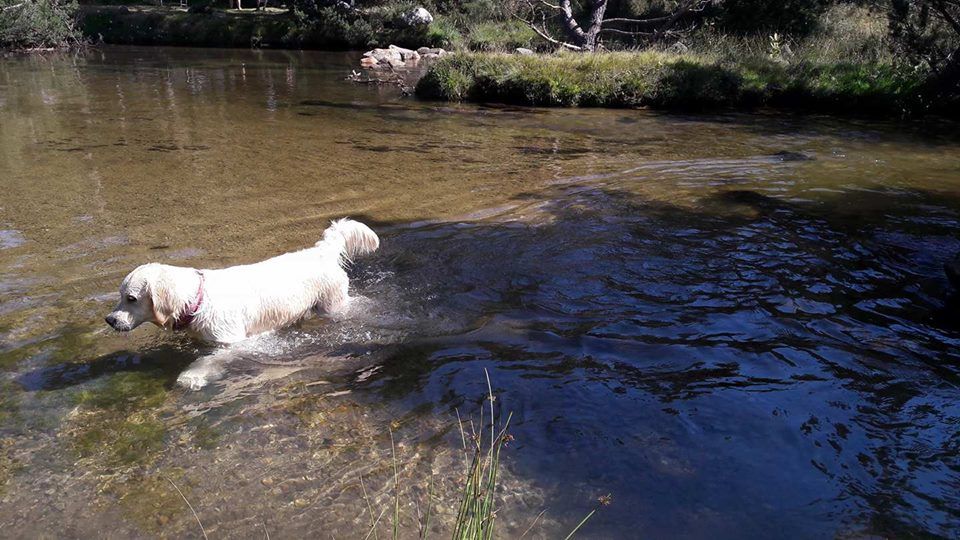 La belle eau pâle des jardins d'Epona