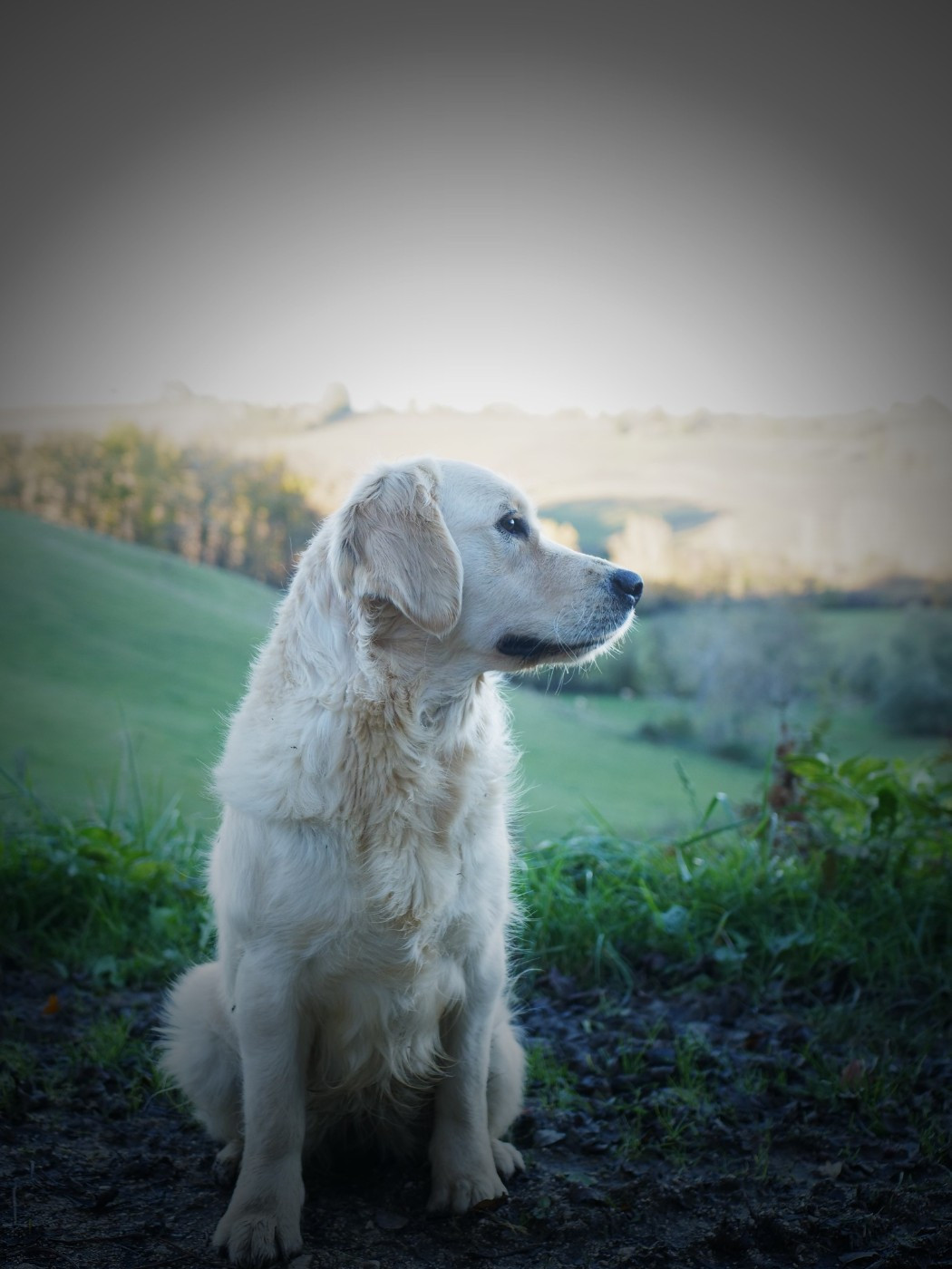 Very Precious Girl de la rivière d'opale