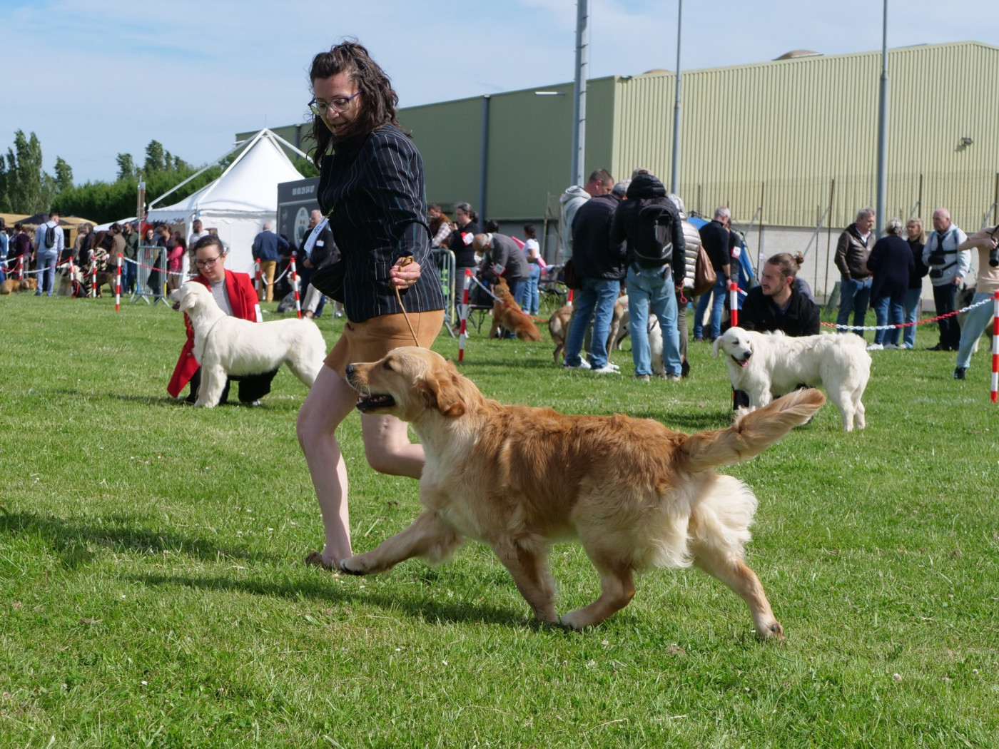 OBSIDIENNE est en CHALEURS