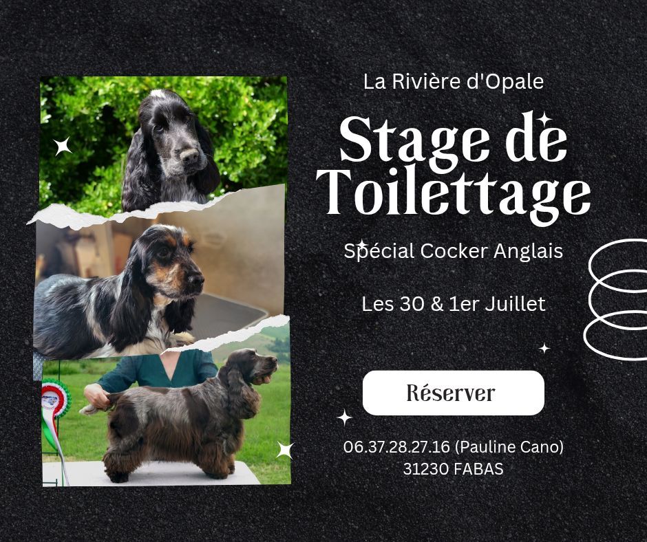 de la rivière d'opale - STAGE DE TOILETTAGE
